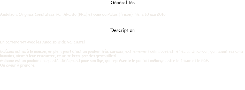 Généralités Andalzon, Origines Constatées. Par Akanto (PRE) et Gaïa du Palais (frison). Né le 10 mai 2016 Description En partenariat avec les Andalzons de Val Castel Galàane est né à la maison, en plein jour! C'est un poulain très curieux, extrêmement câlin, posé et réfléchi. Un amour, qui hennit ses amis humains, vient à leur rencontre, et ne se lasse pas des gratouilles!
Galàane est un poulain charpenté, déjà grand pour son âge, qui représente le parfait mélange entre le frison et le PRE.
Un coeur à prendre!